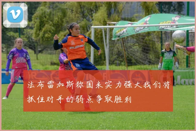 法布雷加斯称国米实力强大我们将抓住对手的弱点争取胜利
