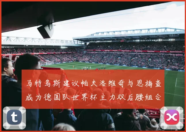马特乌斯建议帕夫洛维奇与恩梅查成为德国队世界杯主力双后腰组合