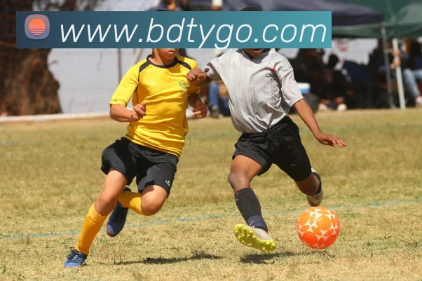 App Interface Preview